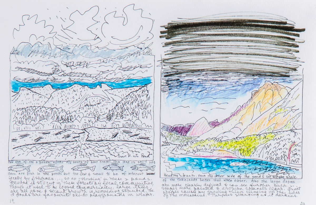Anne Meredith Barry, Trout River Pond - Aboard the Lady Catherine Type, 1998 View 10 of 13.
