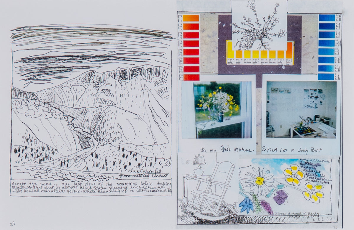 Anne Meredith Barry, Trout River Pond - Aboard the Lady Catherine Type, 1998 View 13 of 13.