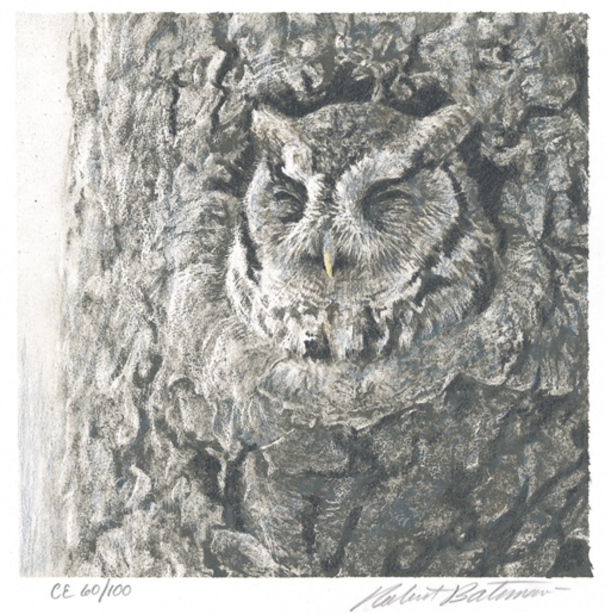 Robert Bateman, Screech Owl in Apple Tree (CE 60/100), 2001. Realistic depiction of an owl with light yellow beak.