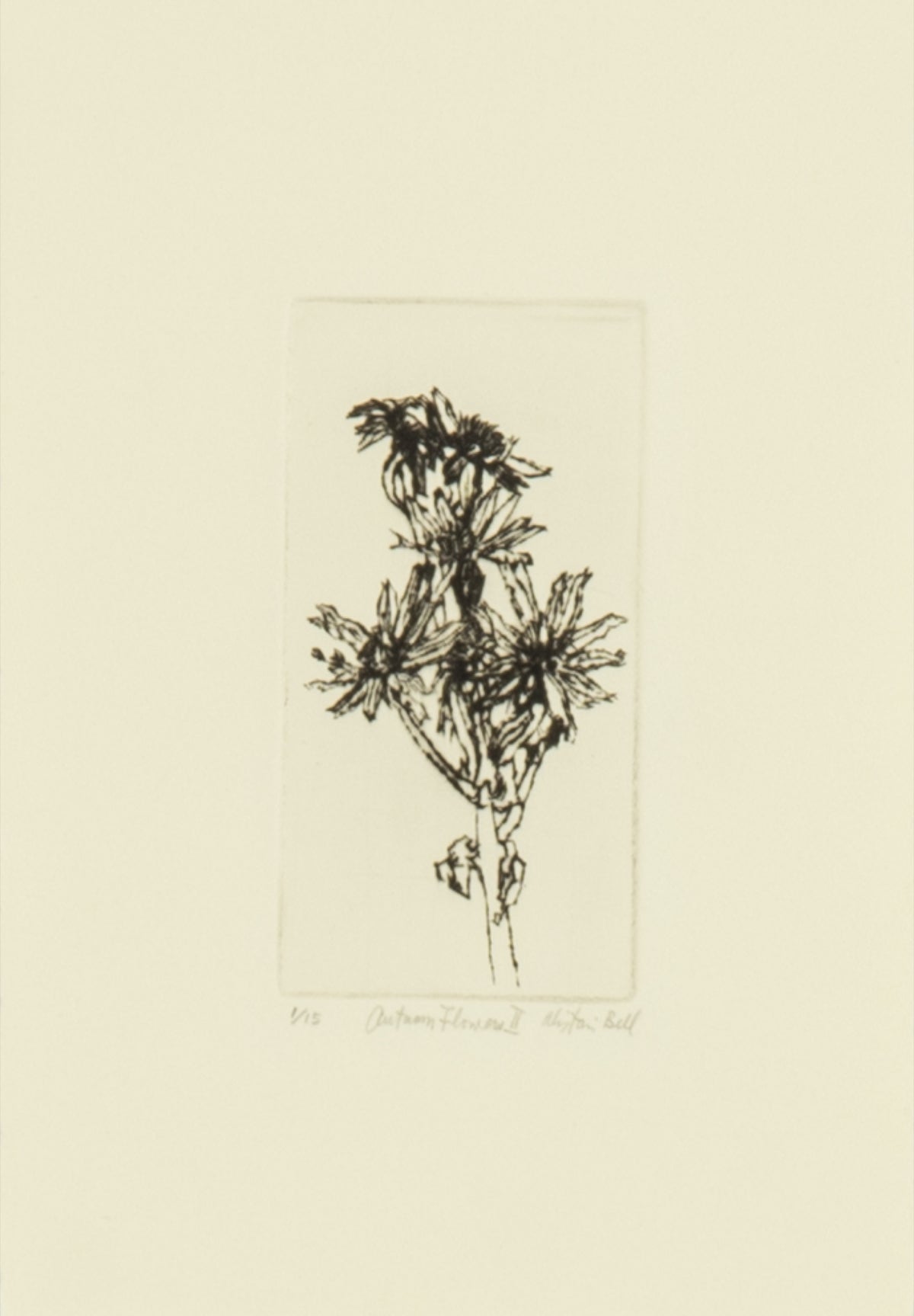 Alistair Bell, Autumn Flowers III, 1997