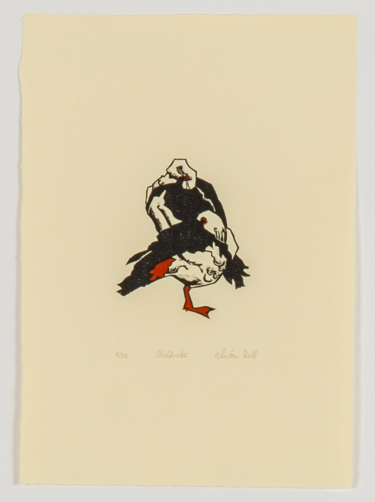 Alistair Bell, Shelducks, 1981