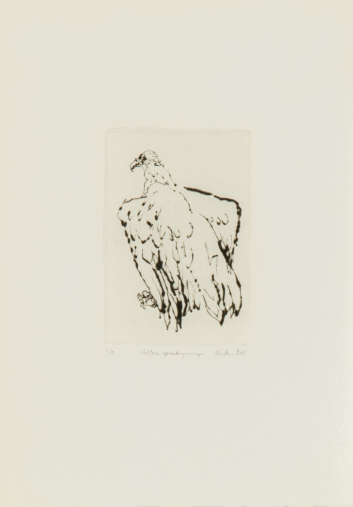 Alistair Bell, Vulture Spreading Wings, 1982
