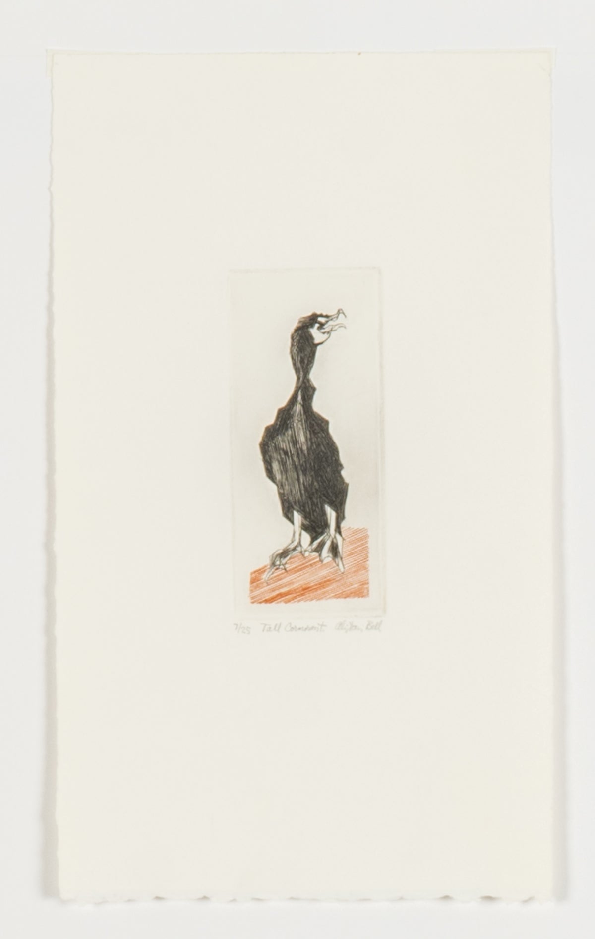 Alistair Bell, Tall Cormorant, 1994