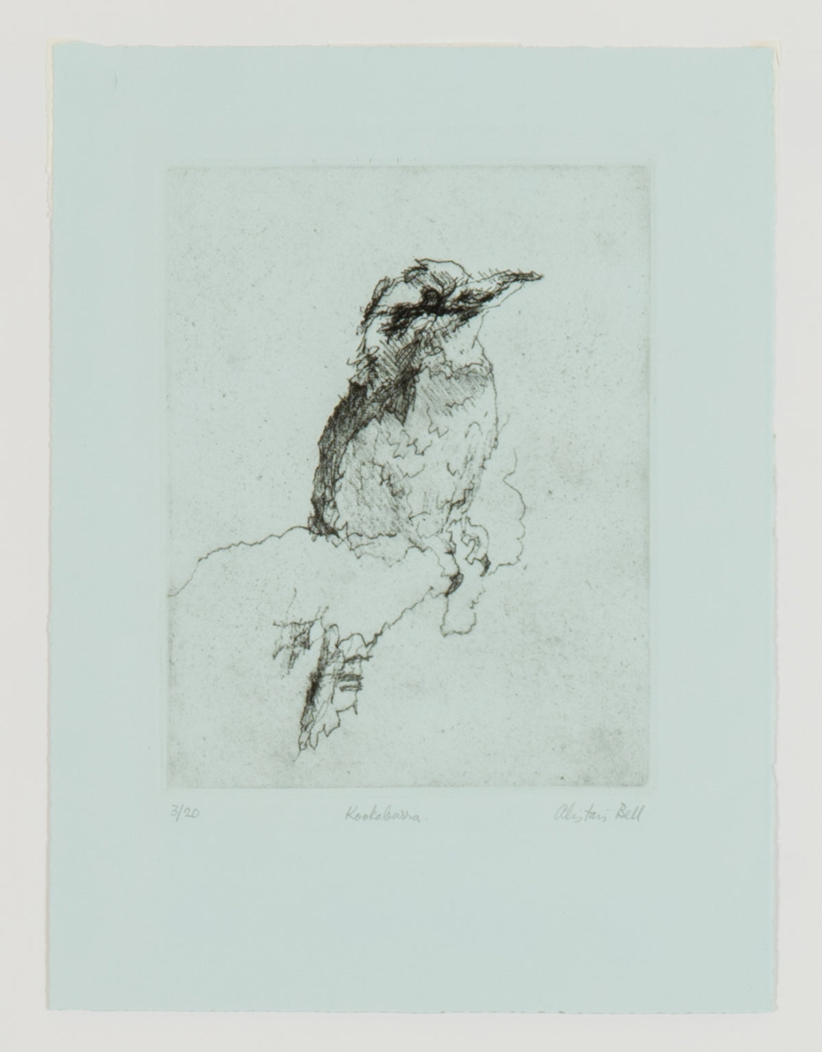 Alistair Bell, Kookaburra, 1989