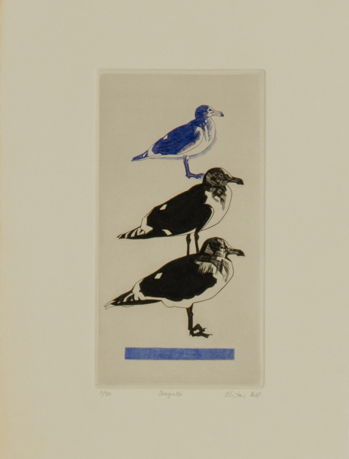 Alistair Bell, Seagulls