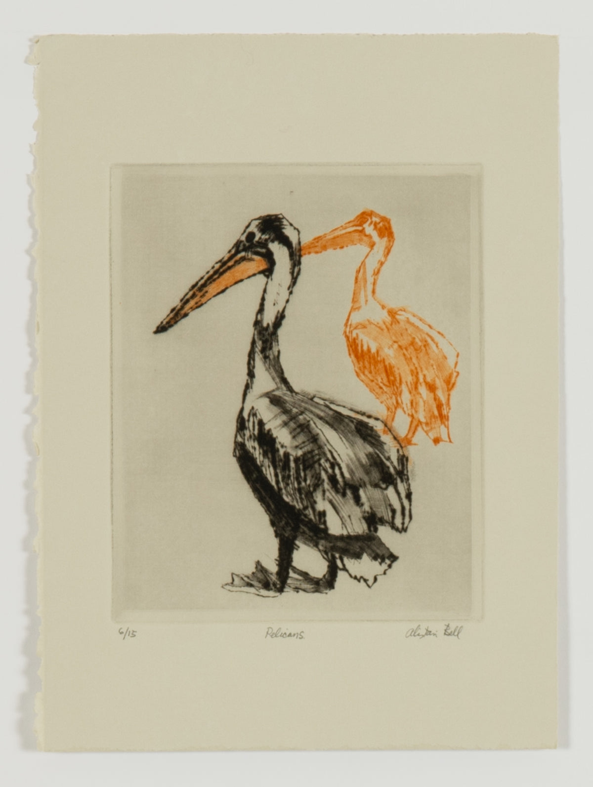 Alistair Bell, Pelicans, 1995