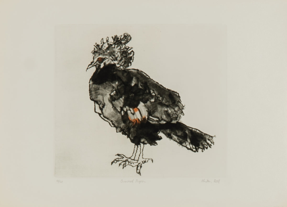 Alistair Bell, Crowned Pigeon, 1981