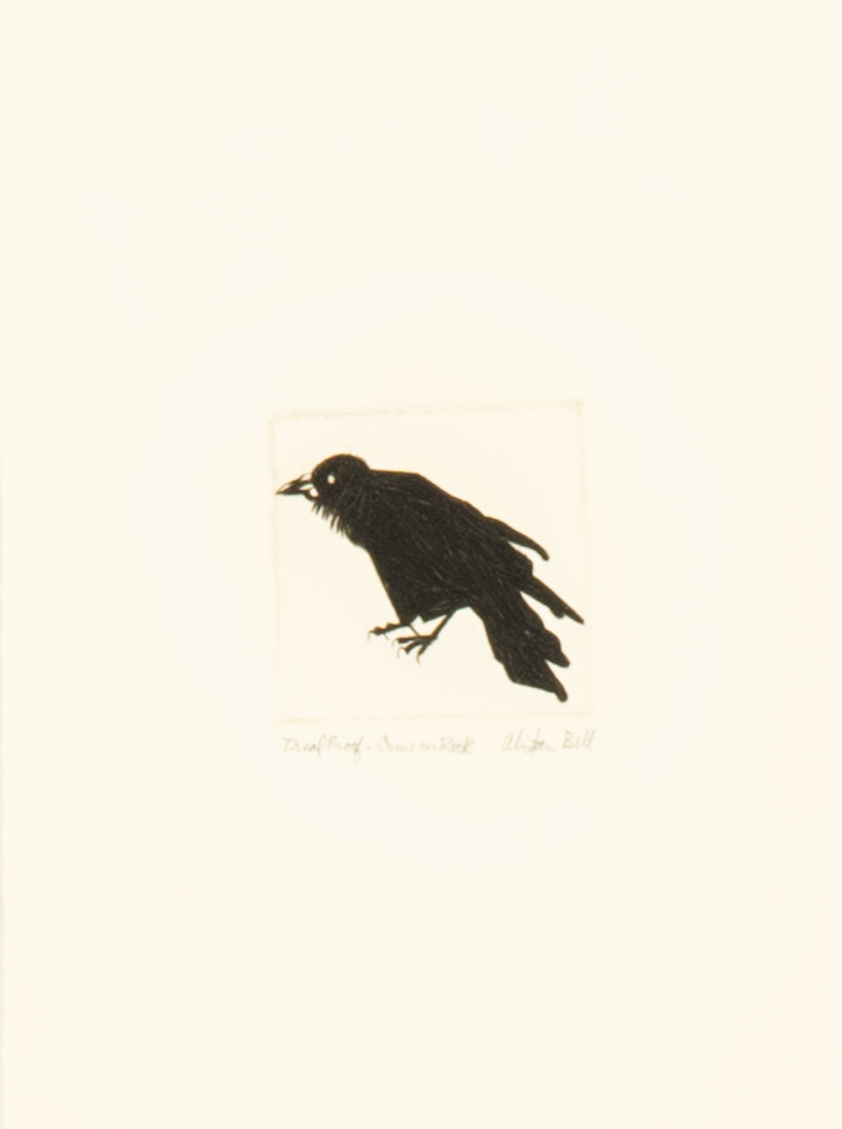 Alistair Bell, Crow on Rock (Trial Proof), 1992