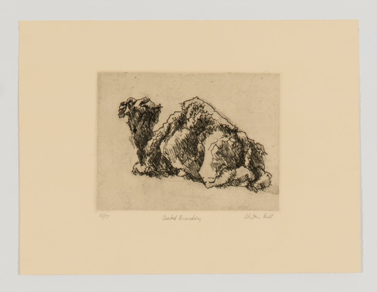 Alistair Bell, Seated Dromedary, 1988
