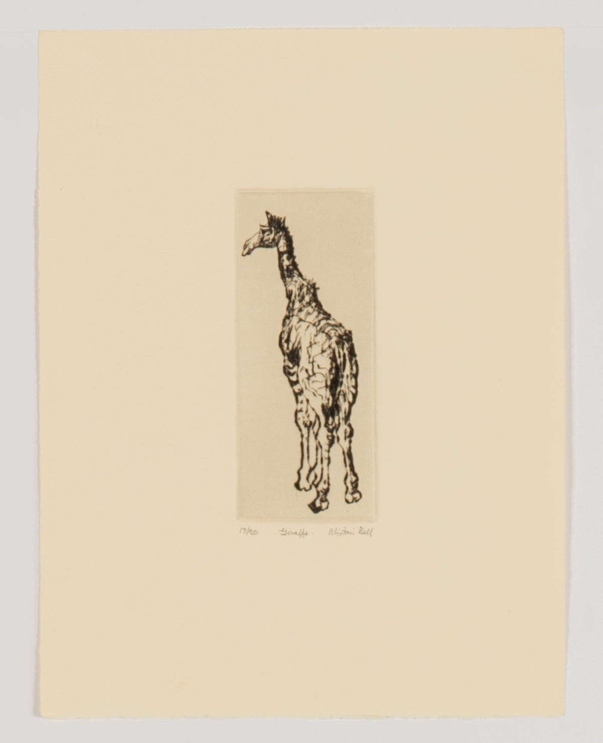 Alistair Bell, Giraffe, 1991
