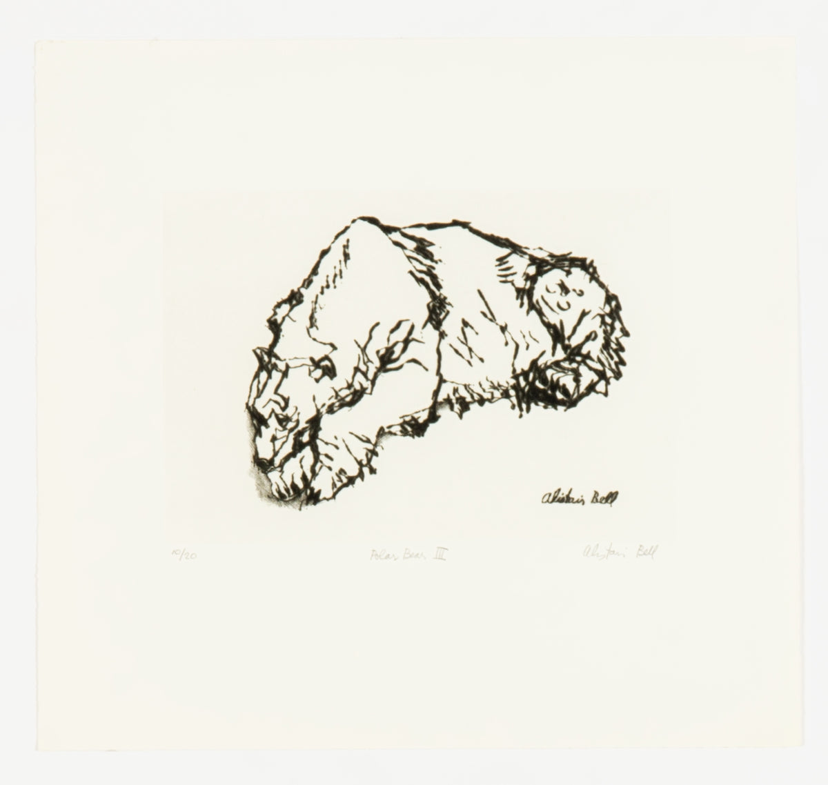 Alistair Bell, Polar Bear III
