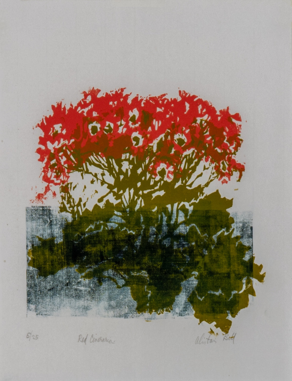 Alistair Bell, Red Cineraria, 1997