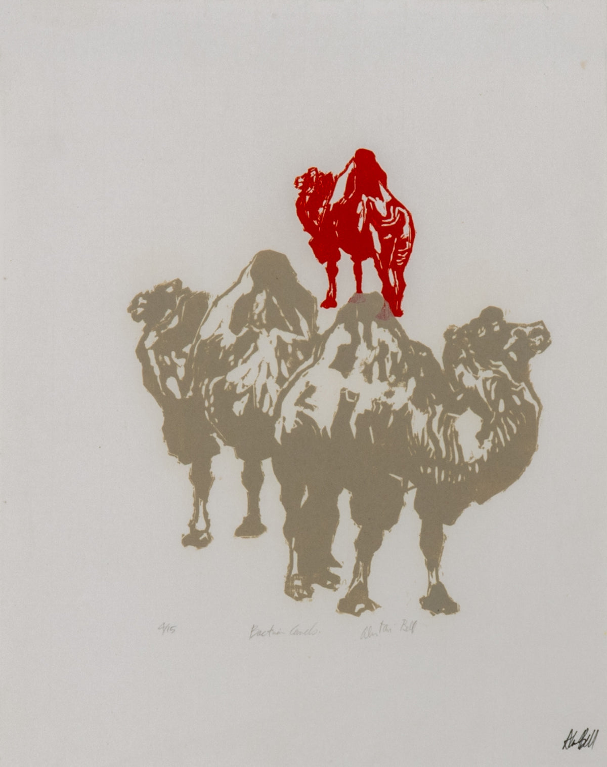 Alistair Bell, Bactrian Camels, 1997