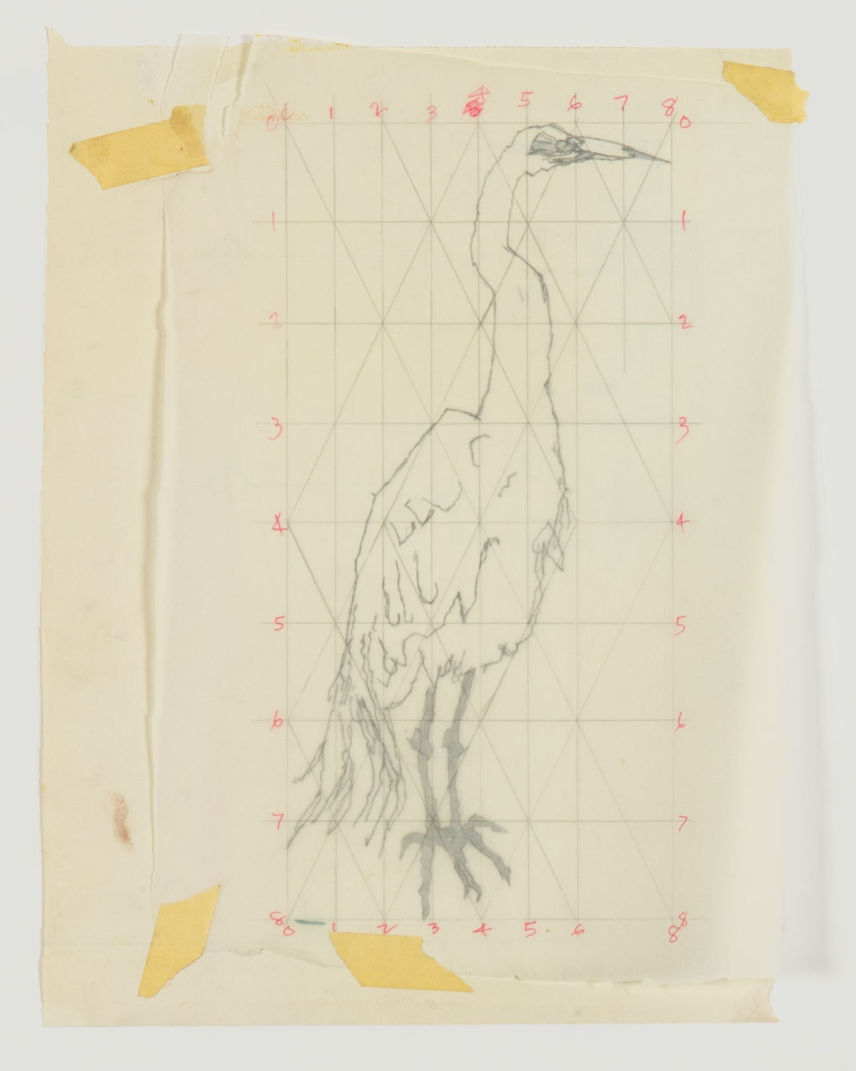 Alistair Bell, Untitled (Graphic Stork), 1997