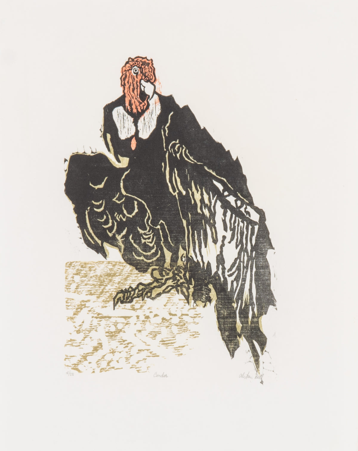 Alistair Bell, Condor, 1984