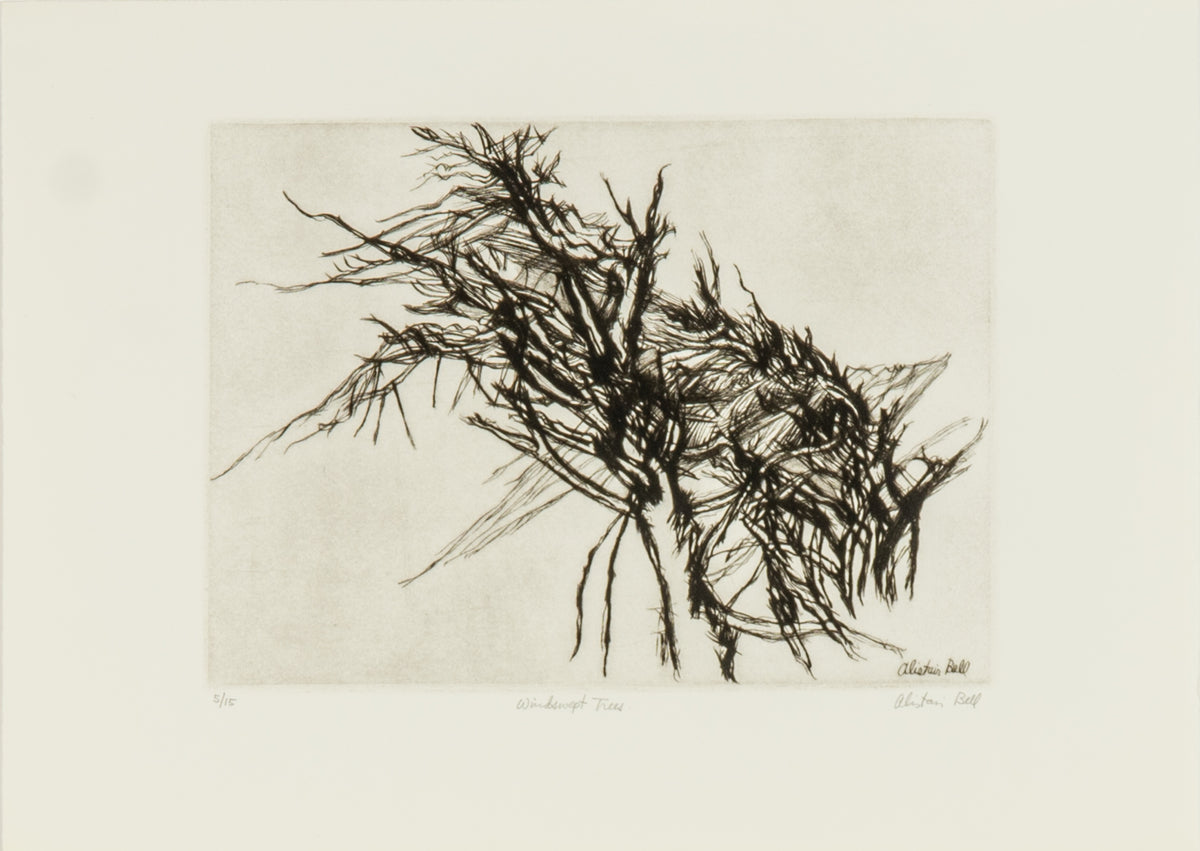 Alistair Bell, Windswept Trees, 1983