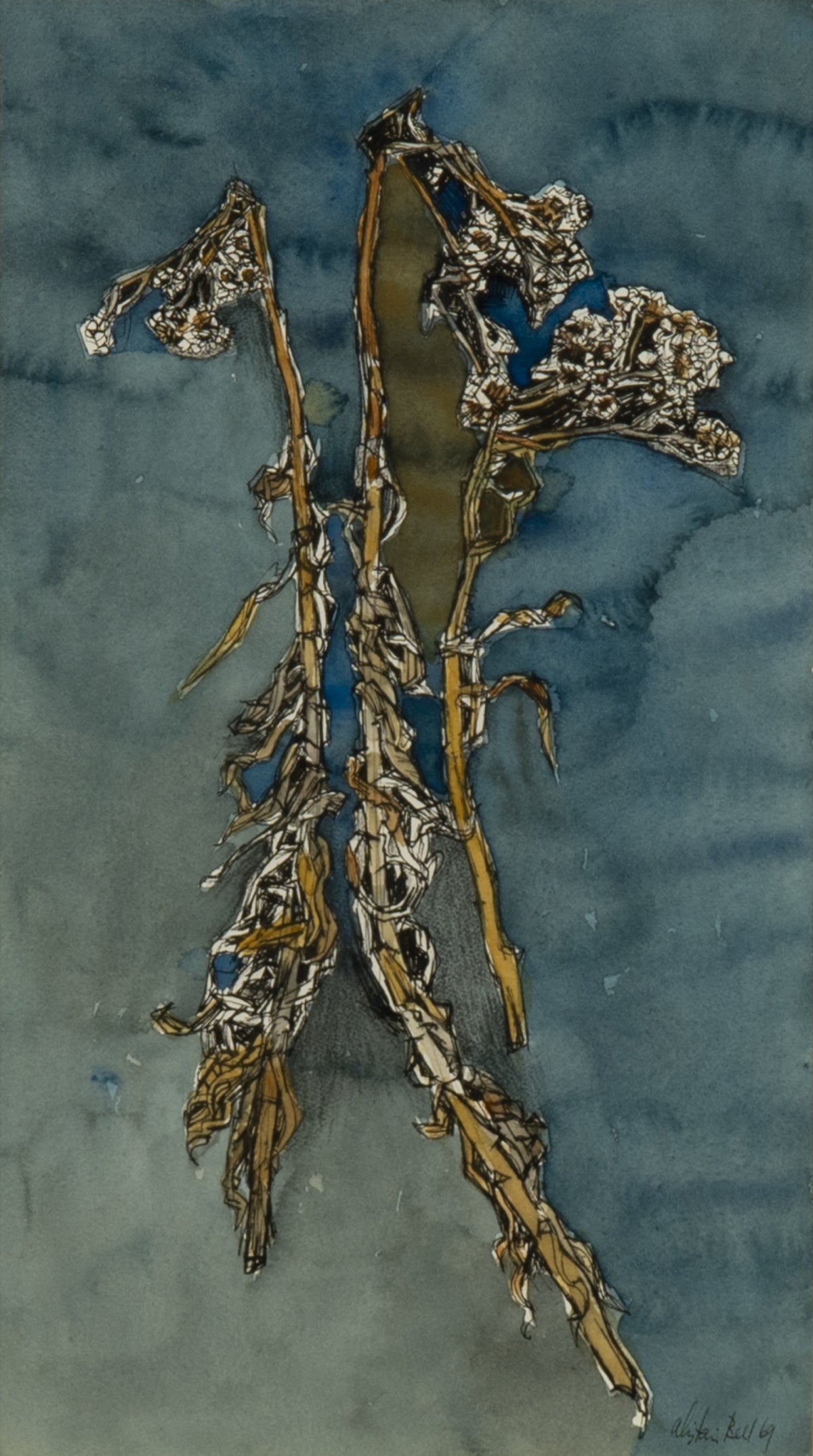 Alistair Bell, Dry Everlastings, 1969