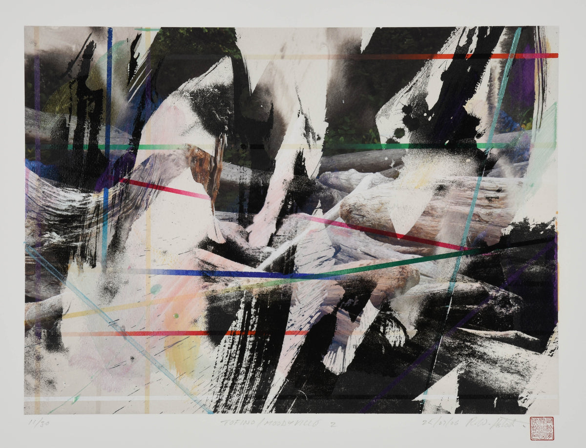 Wayne Eastcott, Tofino/Moodyville 2, 2006. Abstracted composition of multiple images superimposed on top of one another with multi-colour streaks on the white parts at the forefront.