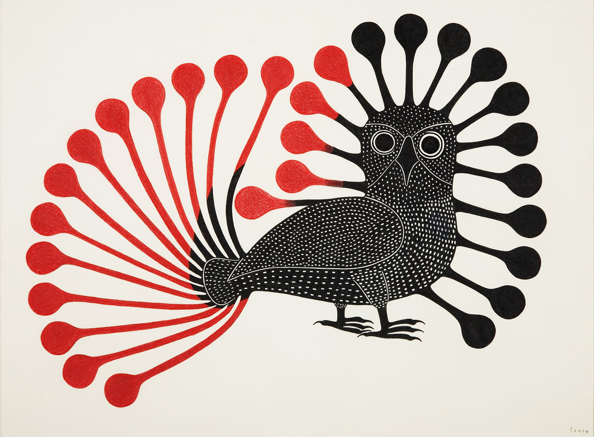Kenojuak Ashevak, Radiant Owl (Drawing), 1995. An owl with protruding feathers in red and black.