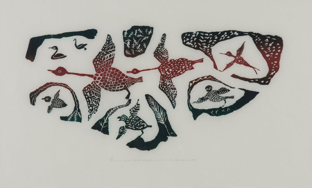 Josie P. Papialuk, All Kinds of Birds, 1987. 29/50.