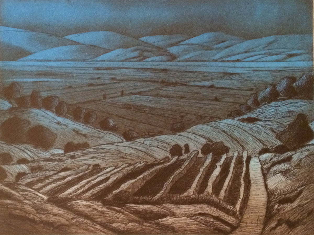 Ross Penhall, Landscape in Varied Colours, 2014. A landscape featuring moutains in the background, rendered in different colour washes. View 3 of 4.
