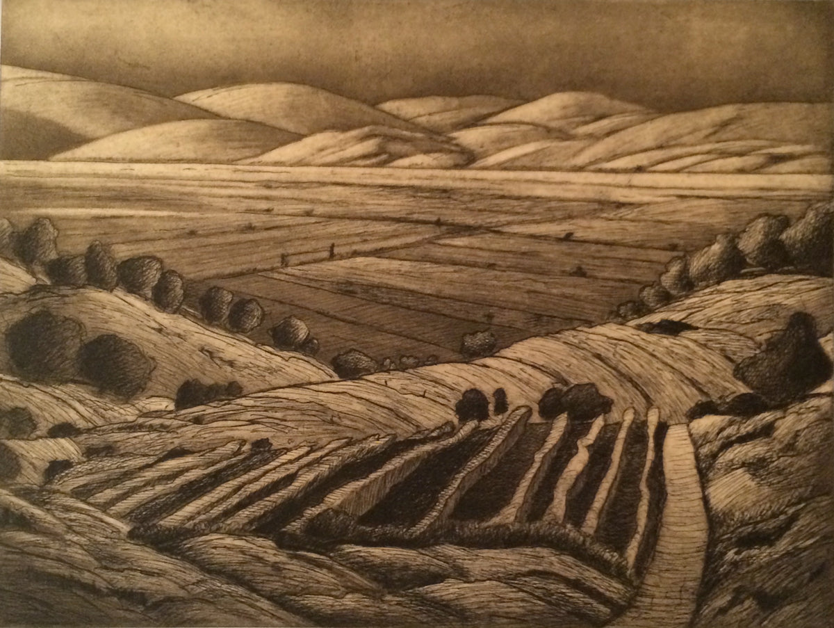Ross Penhall, Landscape in Varied Colours, 2014. A landscape featuring moutains in the background, rendered in different colour washes. View 4 of 4.