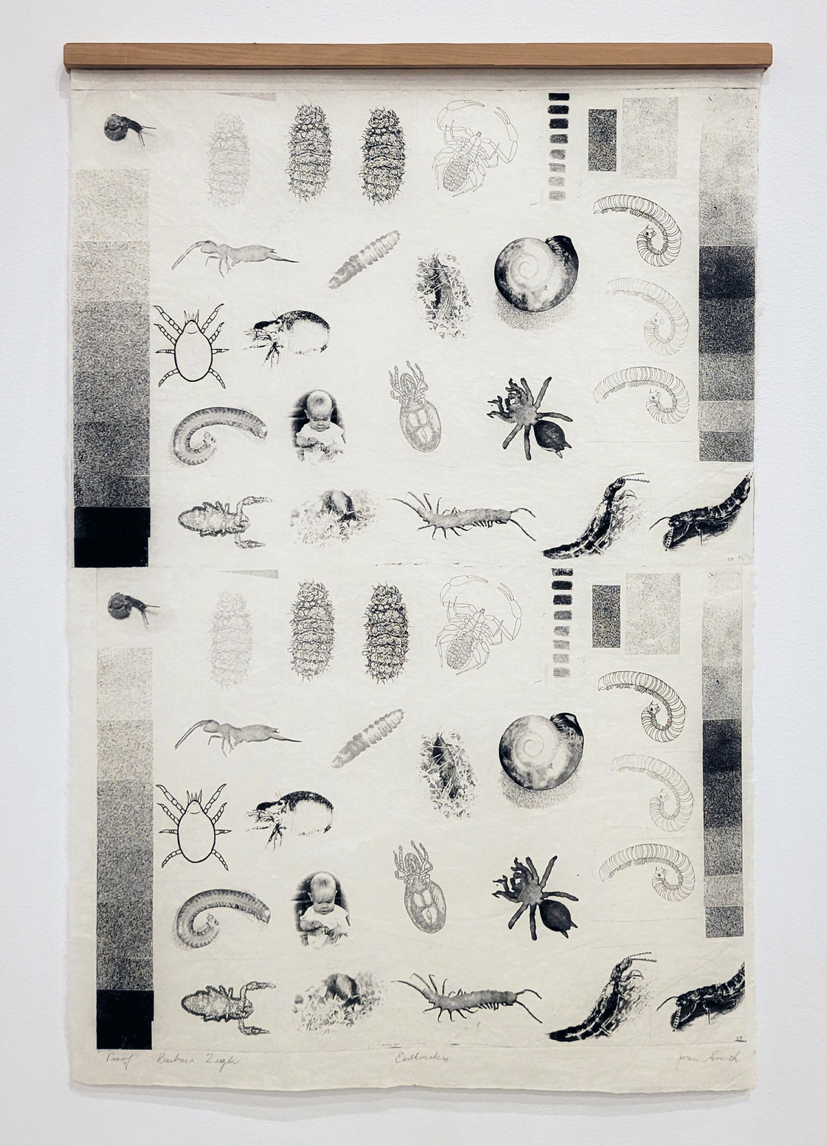 Barbara Zeigler and Joan Smith, Earthmakers (Proof with baby), 1996. A variety of creatures on semi-translucent papers, layered on top of each other.