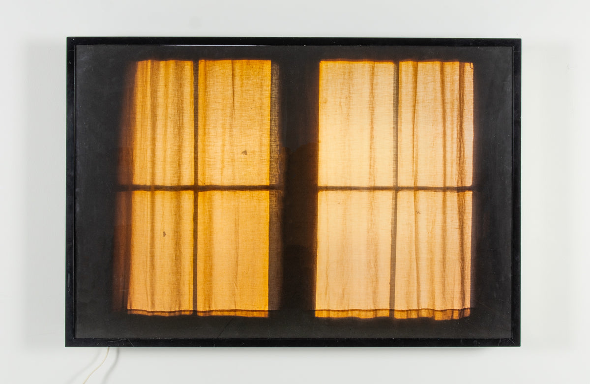 Michael Snow, Speed of Light, 1991