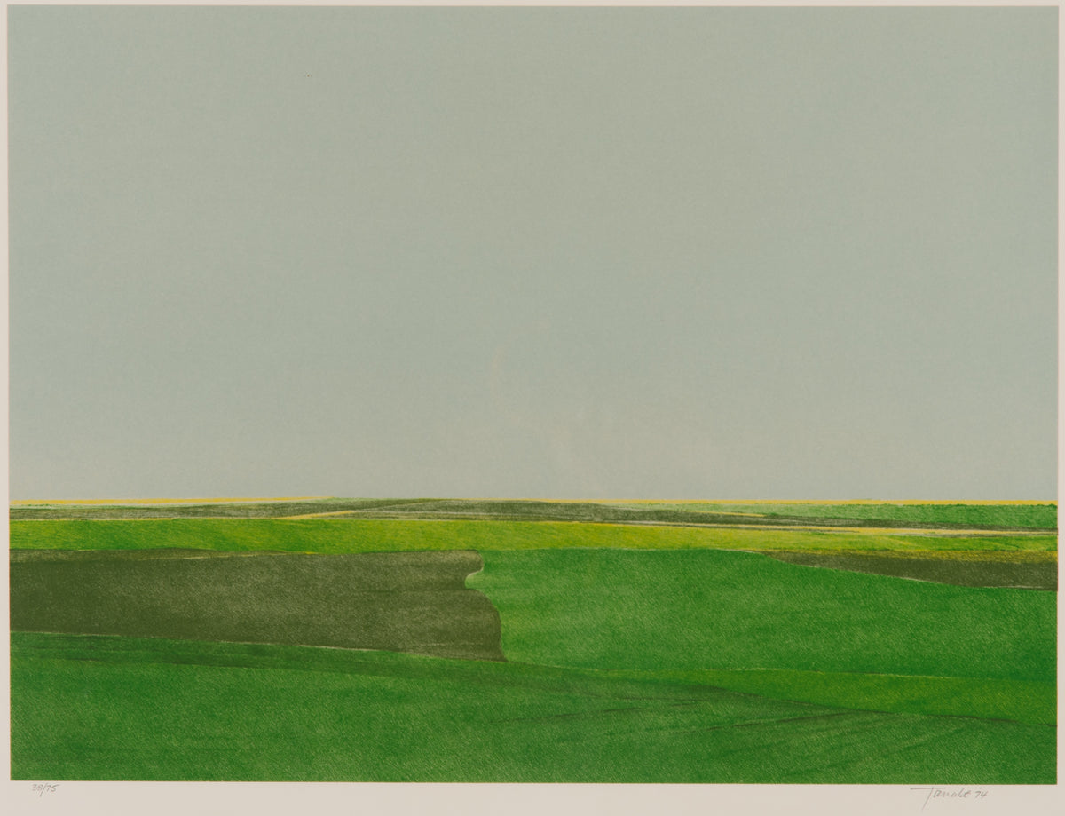 Takao Tanabe, Foothills, 1976. Image of bright green hills against a grey sky.