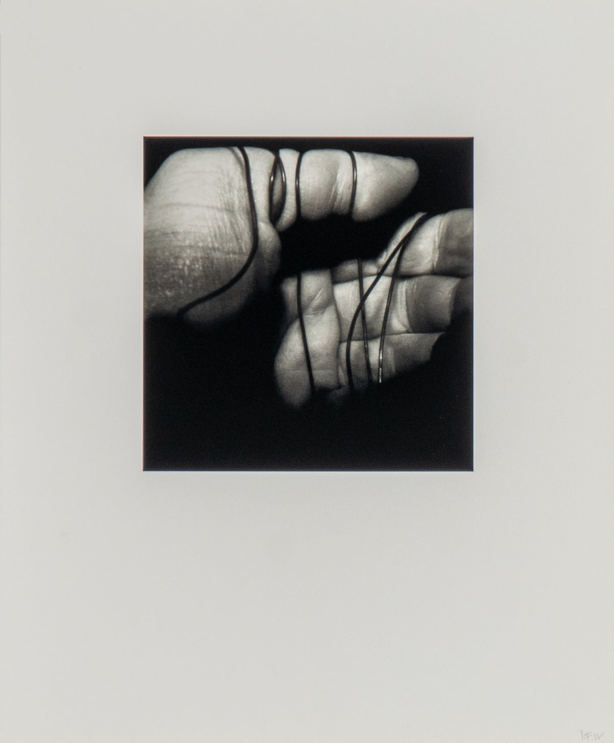 Irene F. Whittome, Self Portrait (Black & White Portfolio), 2004 View 9 of 11.