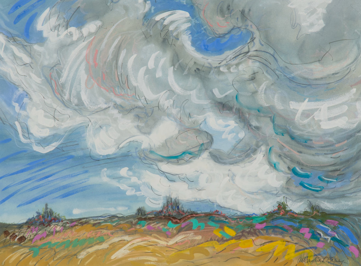 Anne Meredith Barry, Untitled (Sable Island), 1982. Abstracted landscape on a cloudy day and blue sky.