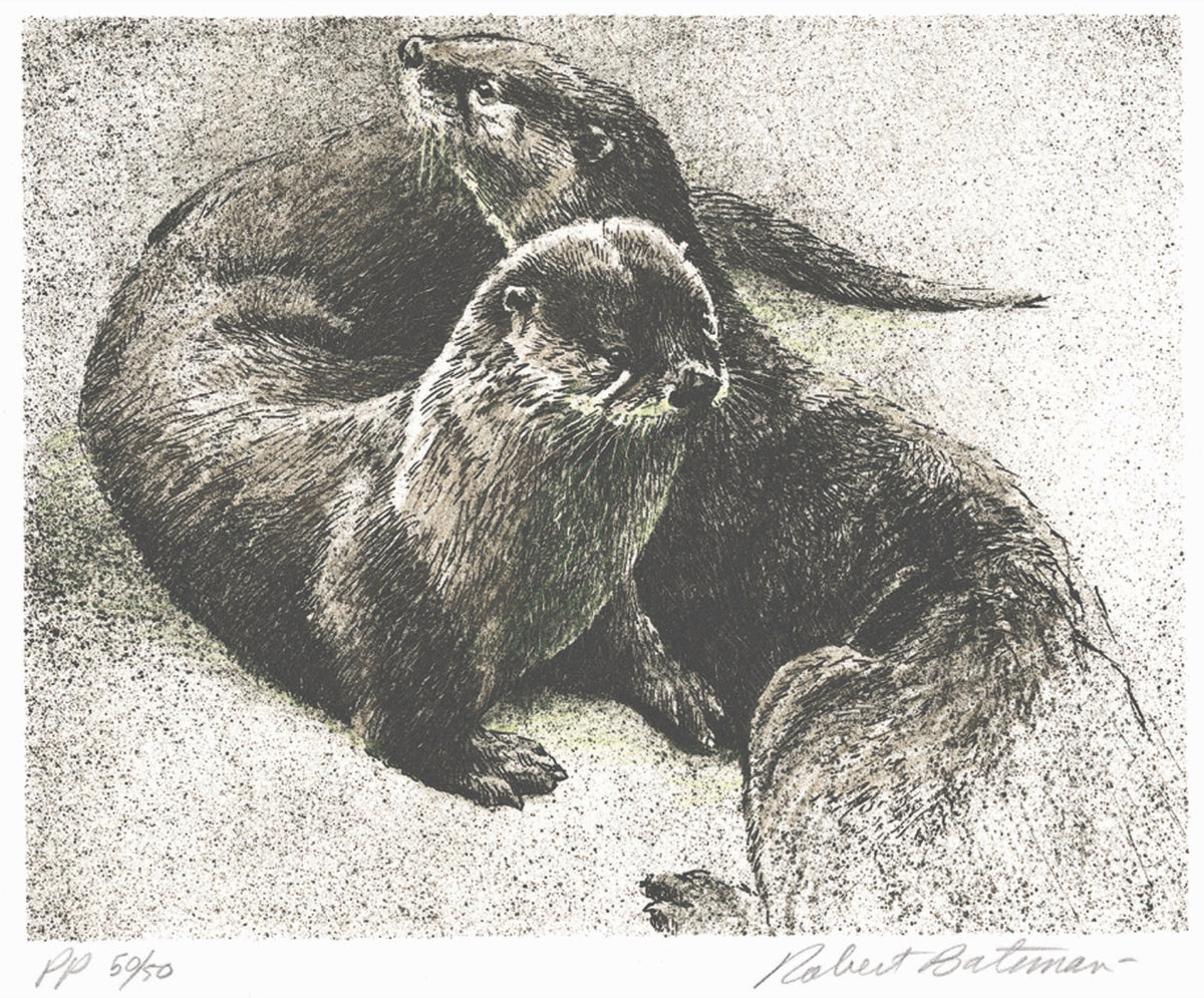 Robert Bateman, River Otters, 2001. A realistic depiction of two river otters in black and white.