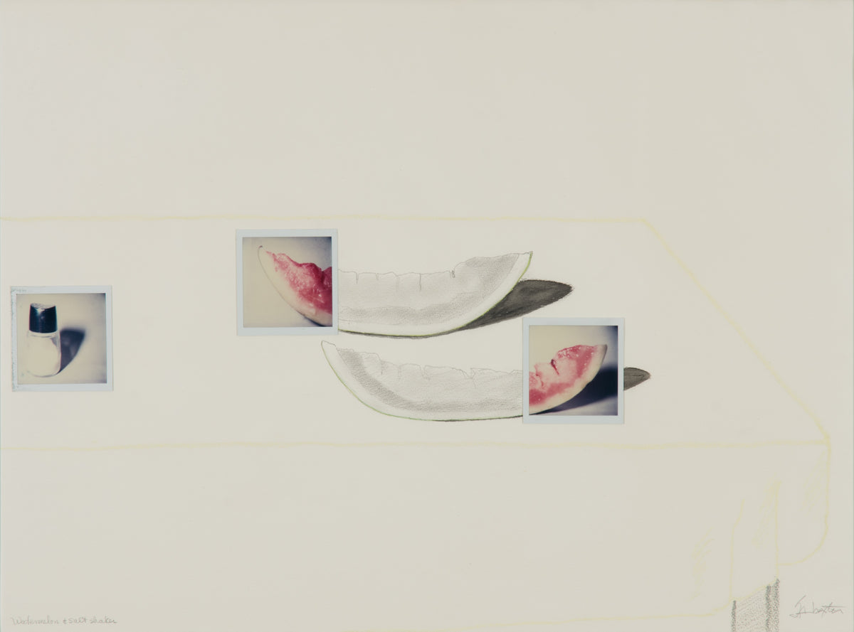 Iain Baxter, Watermelon and Salt Shaker, 1980. Two slices of watermelon rendered in black and white with polaroid-like squares at each end, rendered in colour as well as a polaroid-like square of a salt shaker, rendered in colour.