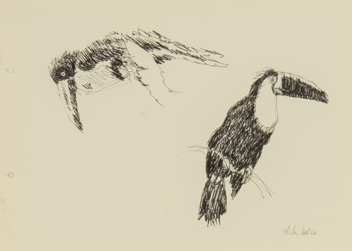 Alistair Bell, Untitled (Toucan), 1963