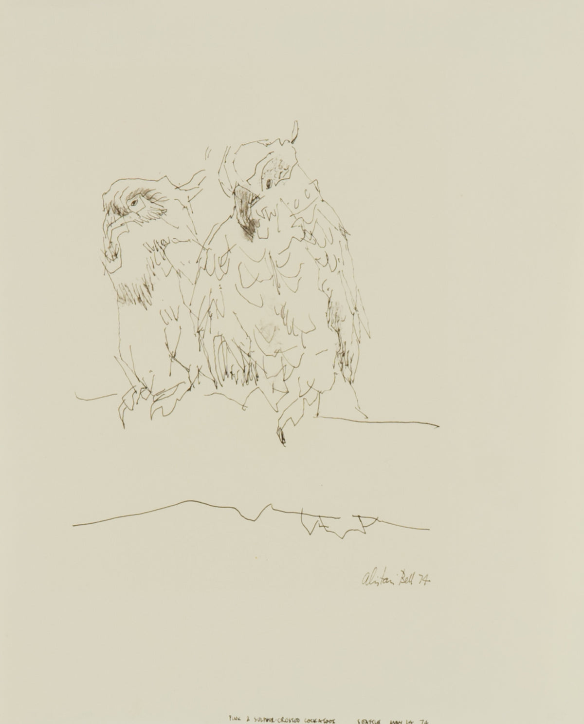 Alistair Bell, Cockatoos, 1974