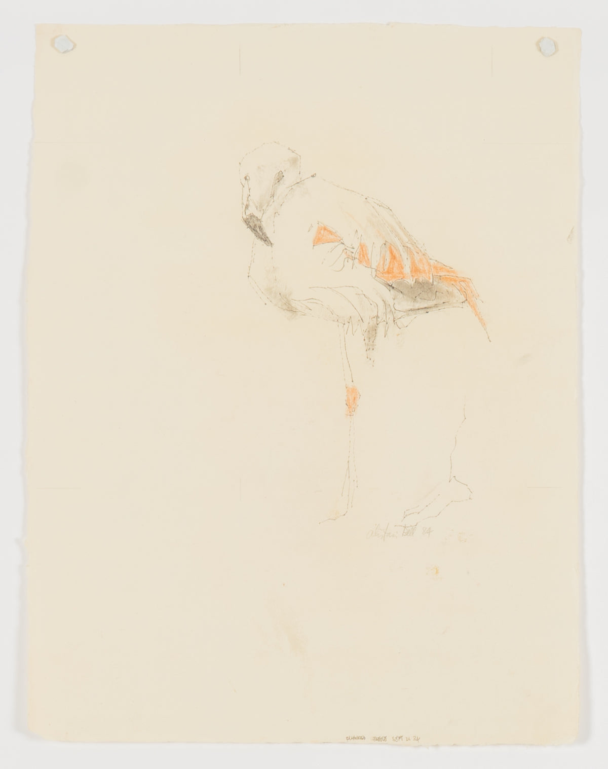 Alistair Bell, Flamingo, 1984