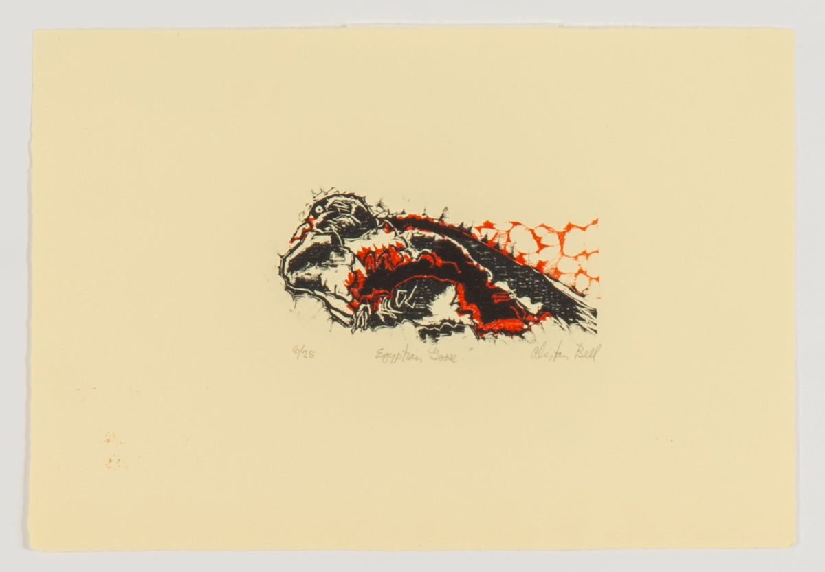 Alistair Bell, Egyptian Goose, 1981
