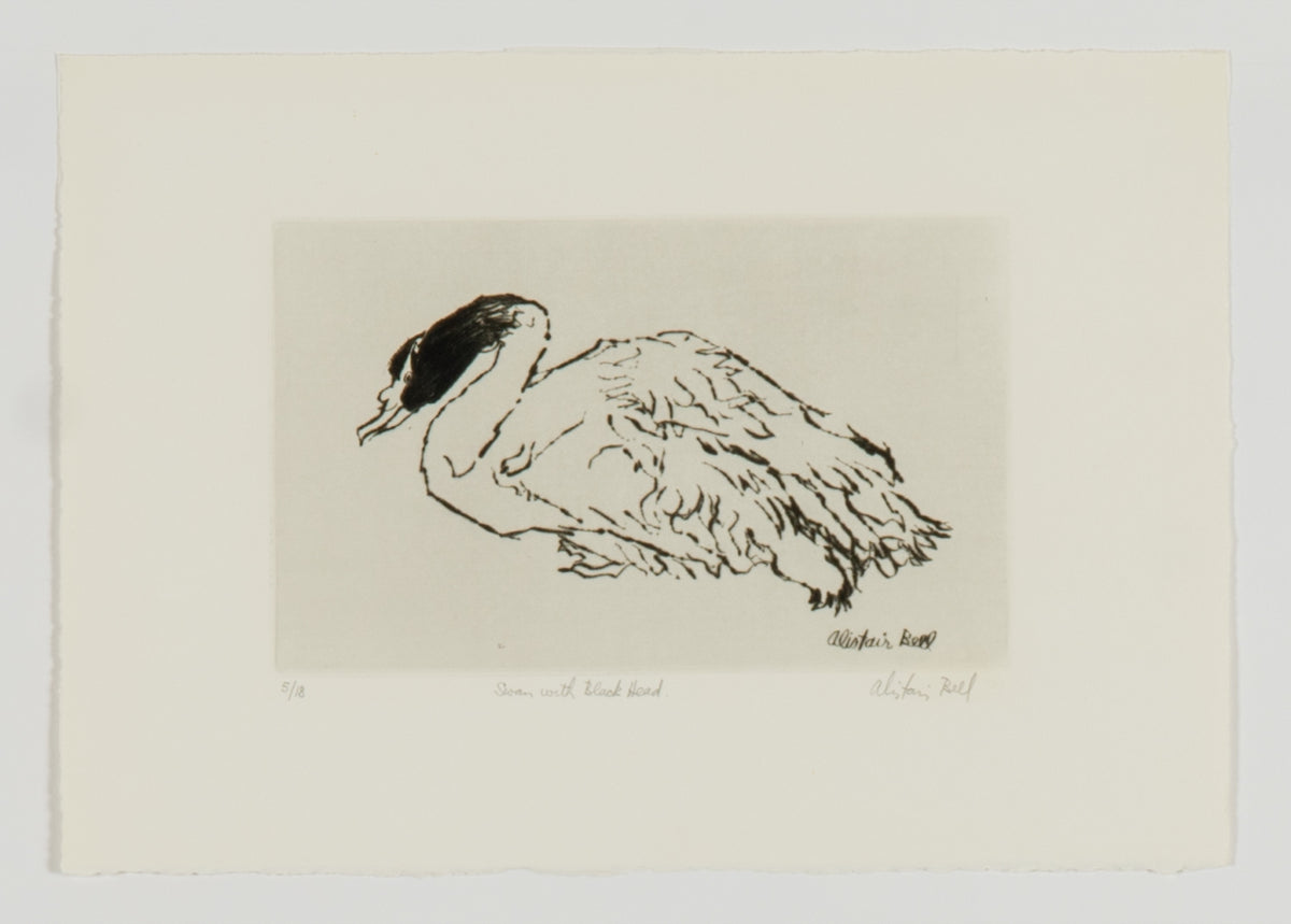 Alistair Bell, Swan with Black Head, 1980