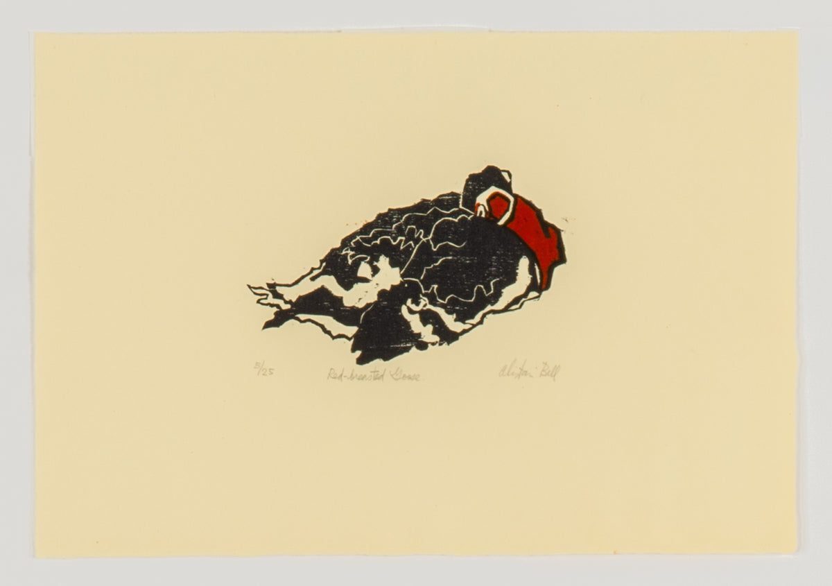 Alistair Bell, Red Breasted Goose, 1981