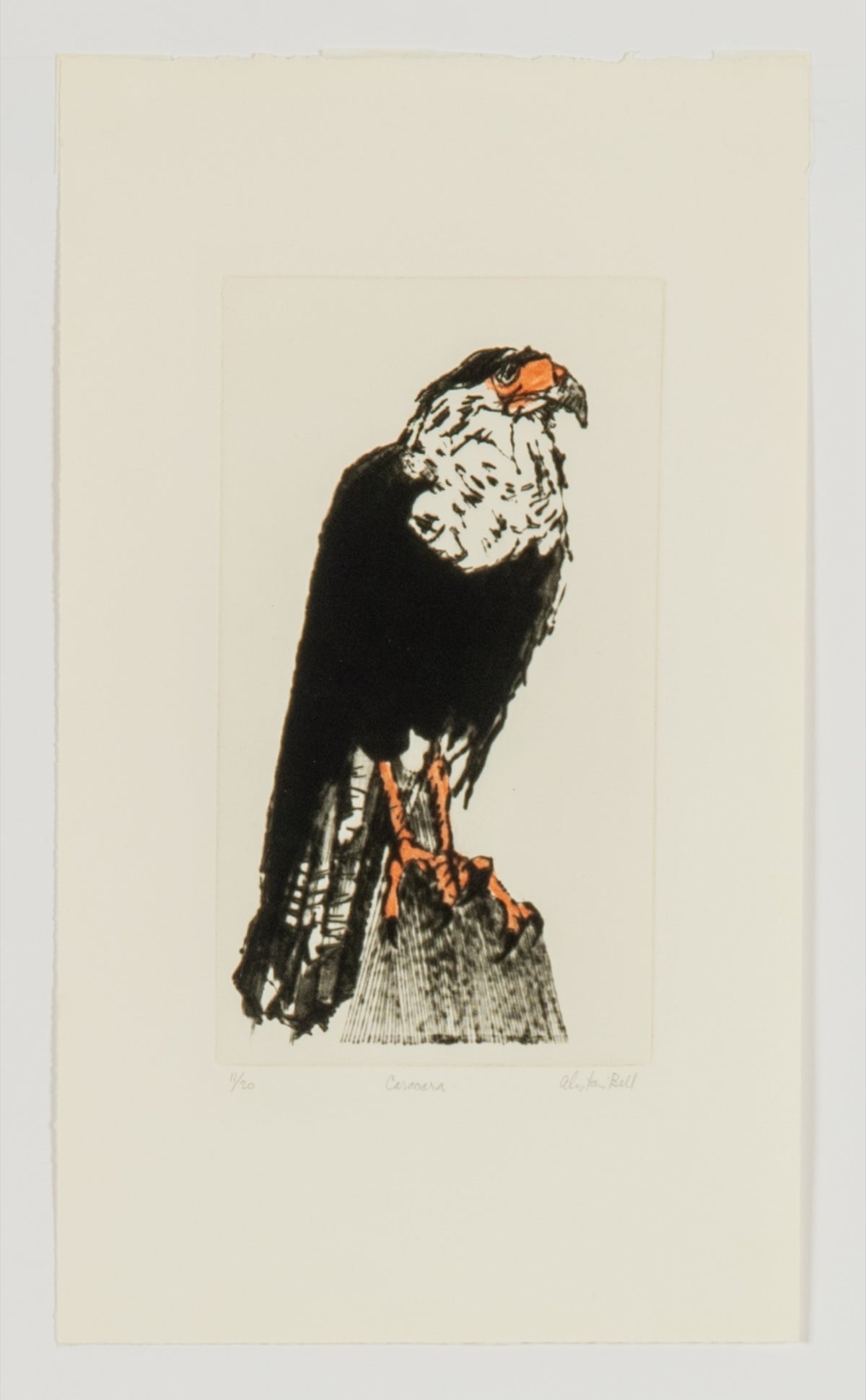 Alistair Bell, Caracara, 1977