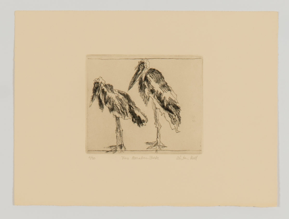 Alistair Bell, Two Marabou Storks, 1988