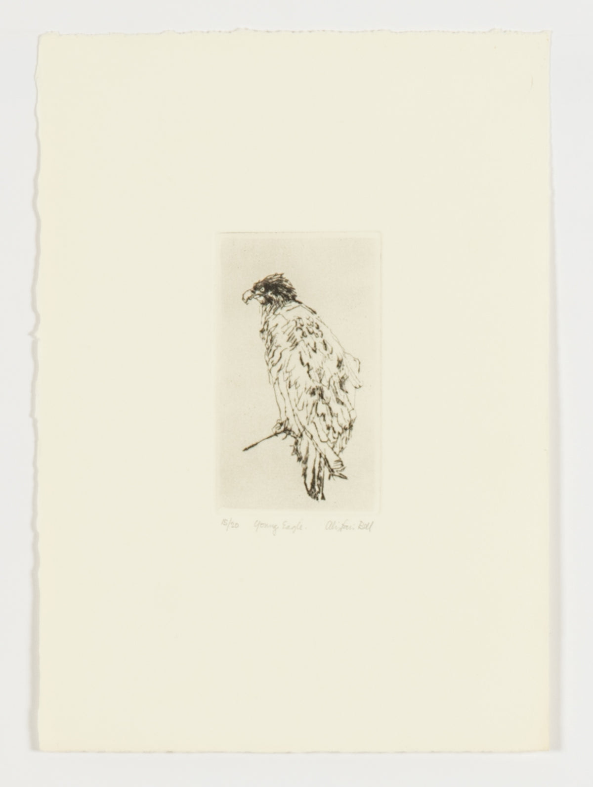 Alistair Bell, Young Eagle, 1989