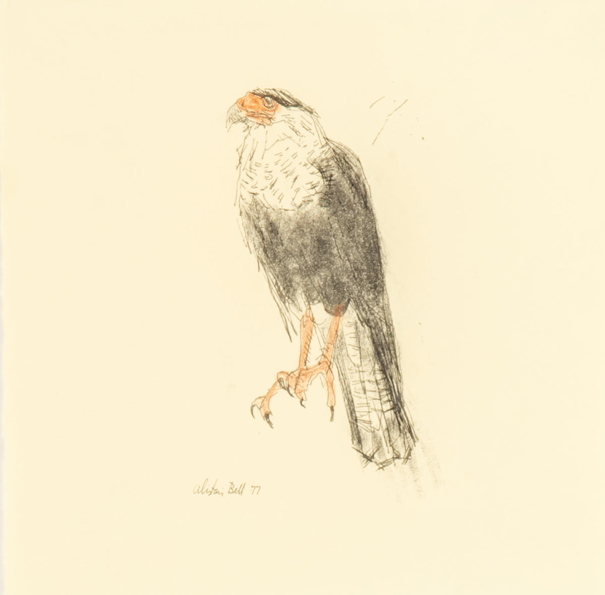 Alistair Bell, Untitled (Caracara), 1977
