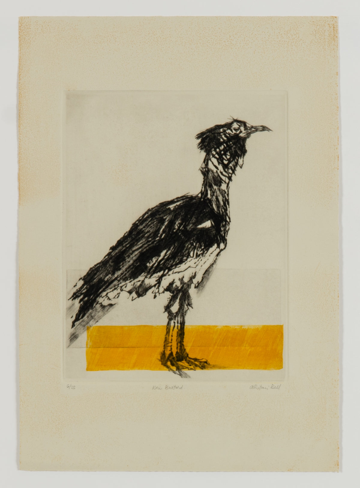 Alistair Bell, Kori Bustard, 1989