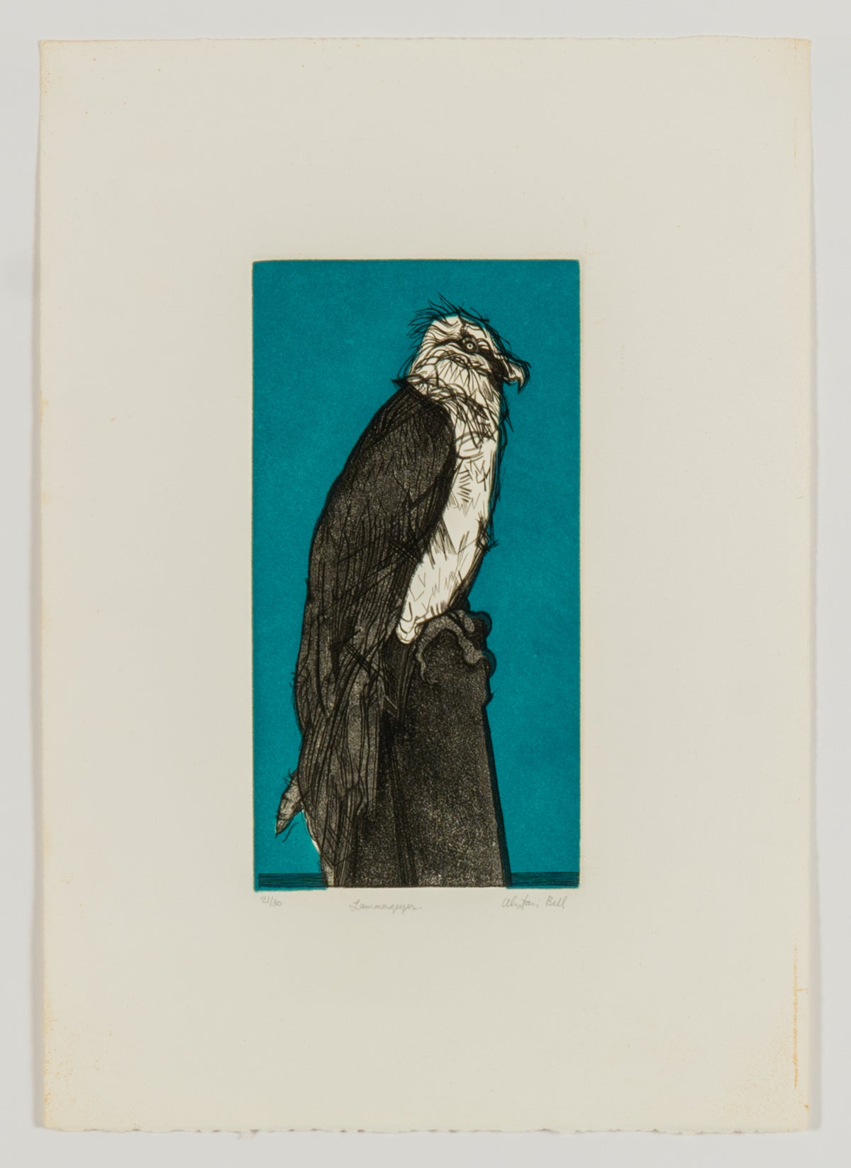 Alistair Bell, Lammer Geyer, 1973