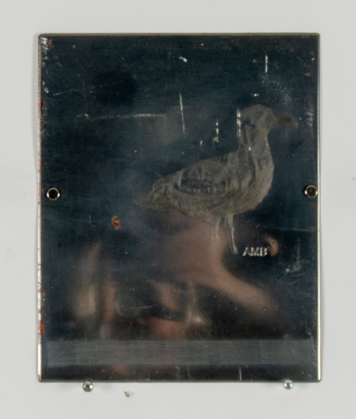 Alistair Bell, Two Gulls, 1992 View 2 of 2.