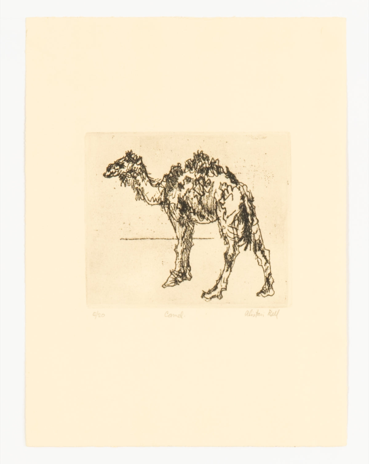 Alistair Bell, Camel, 1989