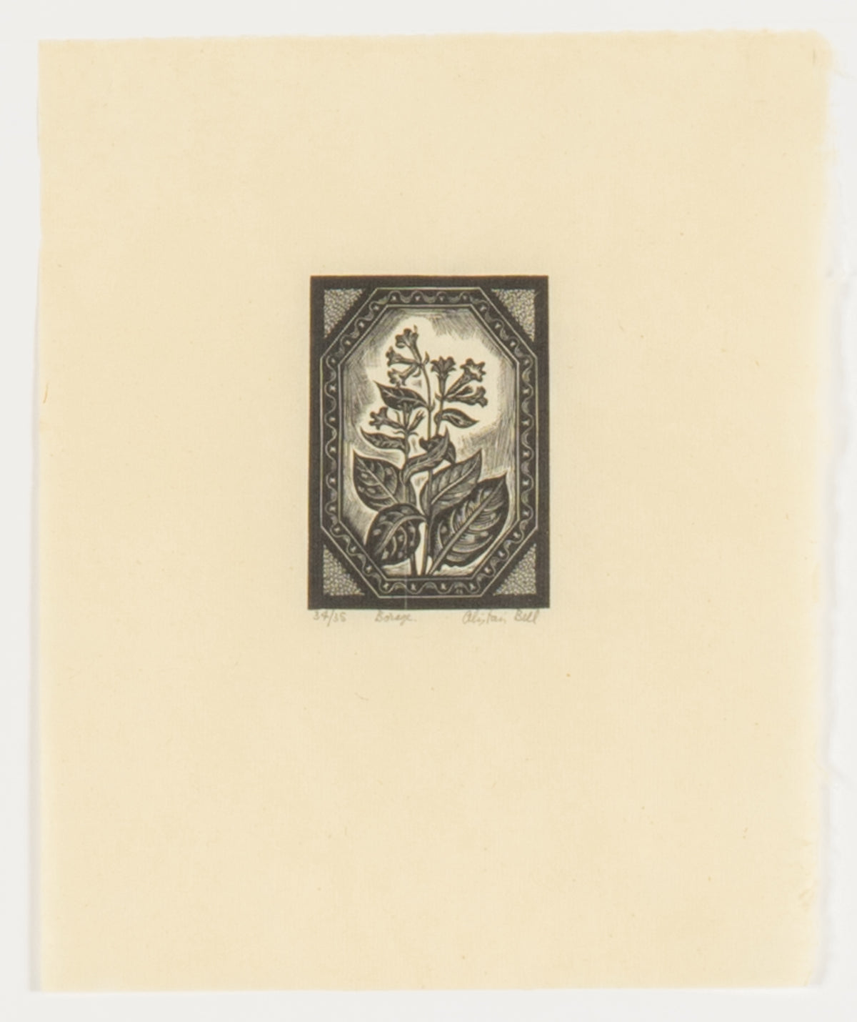 Alistair Bell, Borage, 1948
