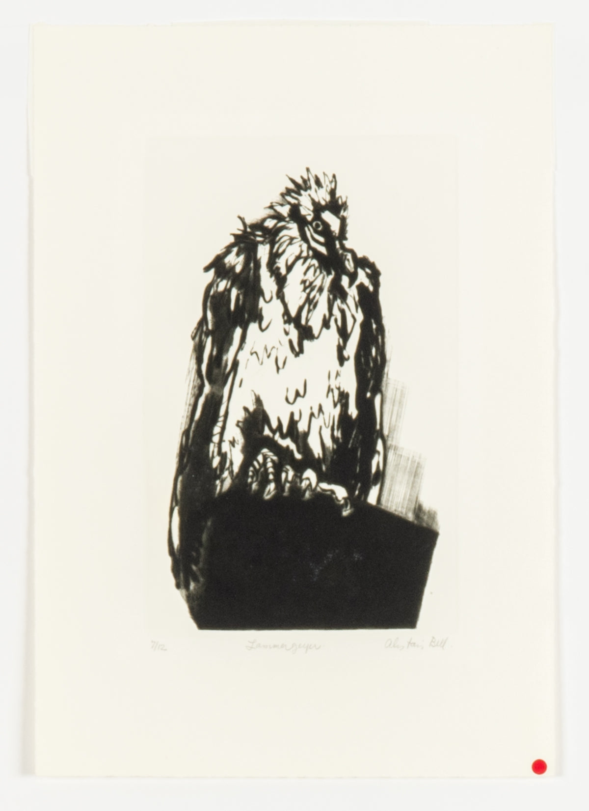 Alistair Bell, Lammergeyer, 1978