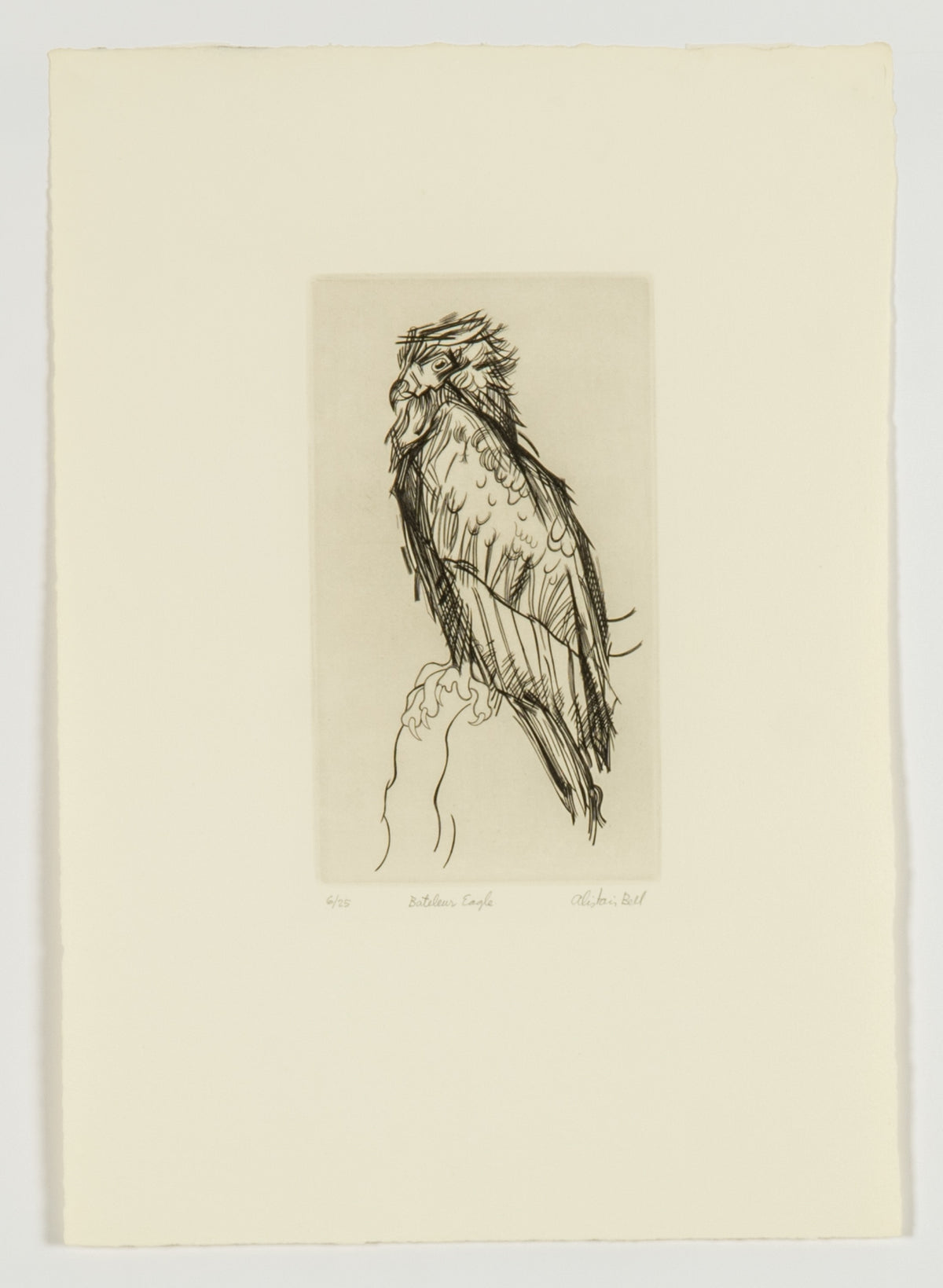 Alistair Bell, Bateleur Eagle, 1976